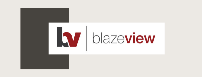 BlazeVIEW Logo
